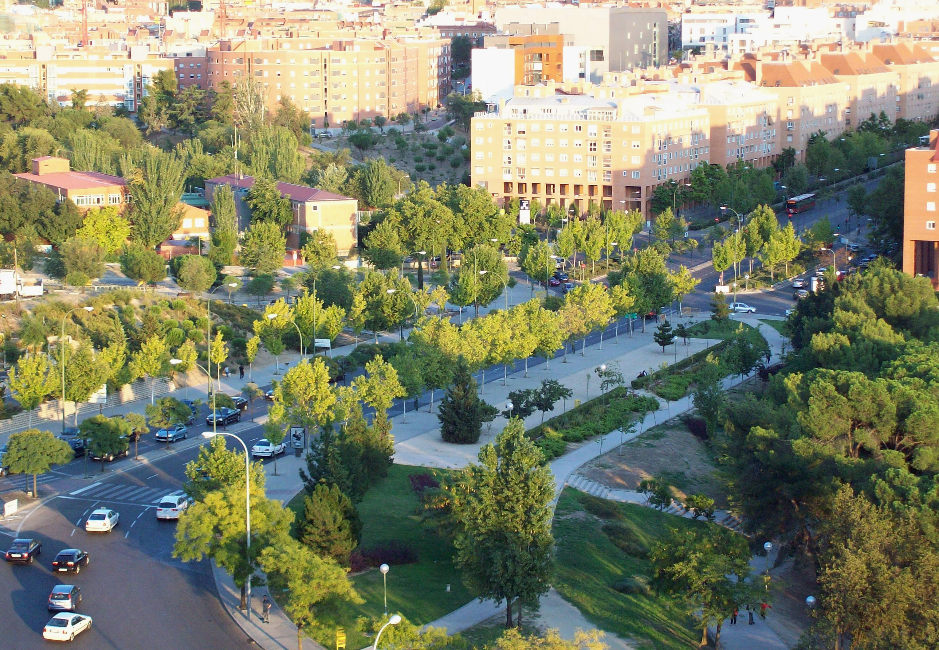 Empresa de Poda de Árboles en Madrid | Informes Técnicos Jardín